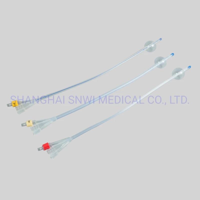 Disposable Factory 100% Silicone Foley Catheter 2 Way