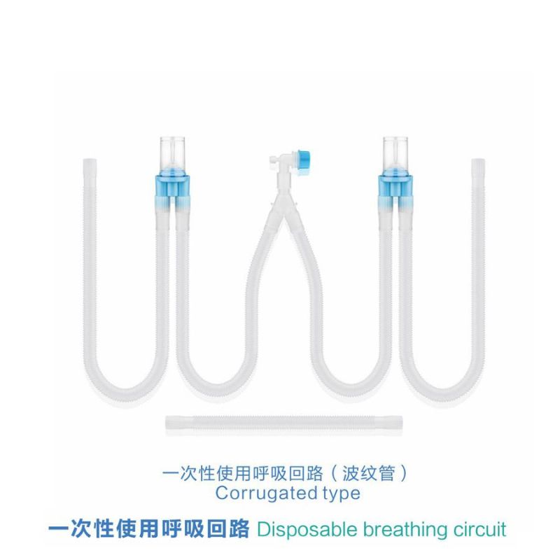 Breathing Circuit with Valve