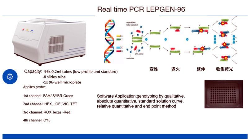 PCR Real Time Machine Real-Time PCR System