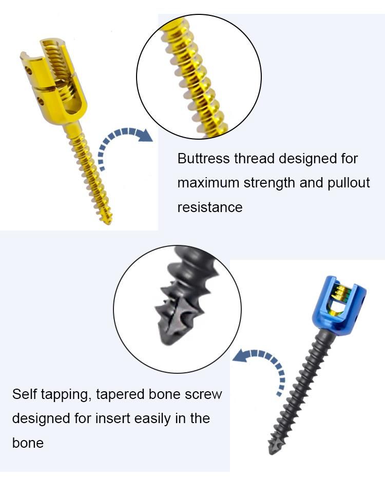 Factory Price Orthopedic Surgical Implants Polyaxial Pedicle Screw Spine Implant