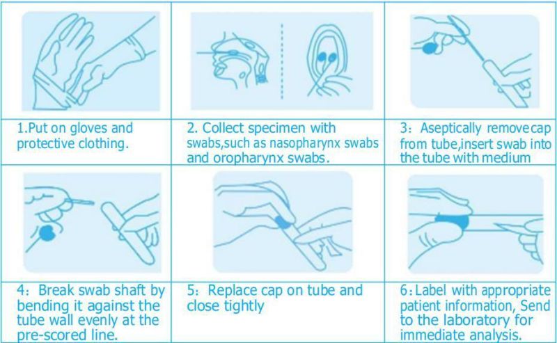 Test Kit Nasal or Oral Swab Sampling Collectoion Swab
