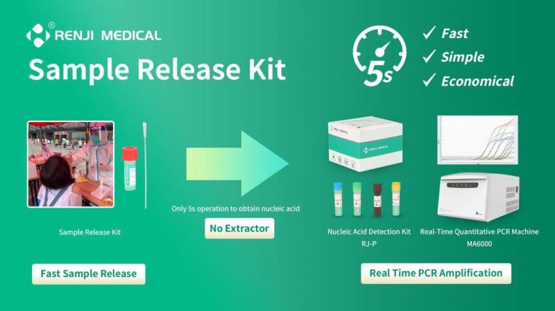 Medical Use Rna Extraction Reagent Sample Release Kit
