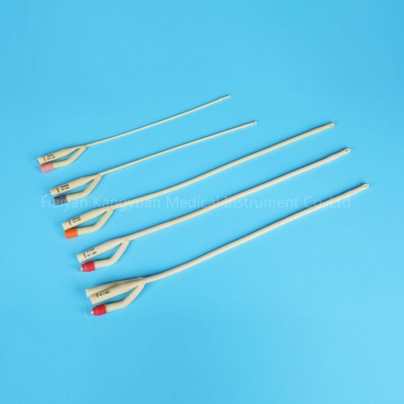 Rubber Valve or Plastic Valve Silicone Coated Latex Foley Catheter CE, ISO Approval