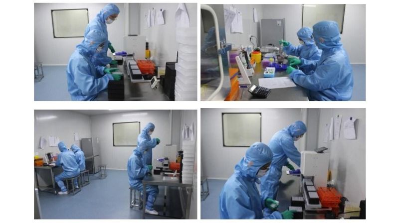 Disposable Sterile Sample Collection Cotton Swab