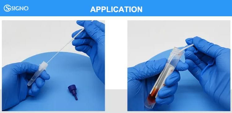 Medical Disaposable Testing Oral Nylon Throat Flocked Swab Sampling Swab Medical Disposable Swabs