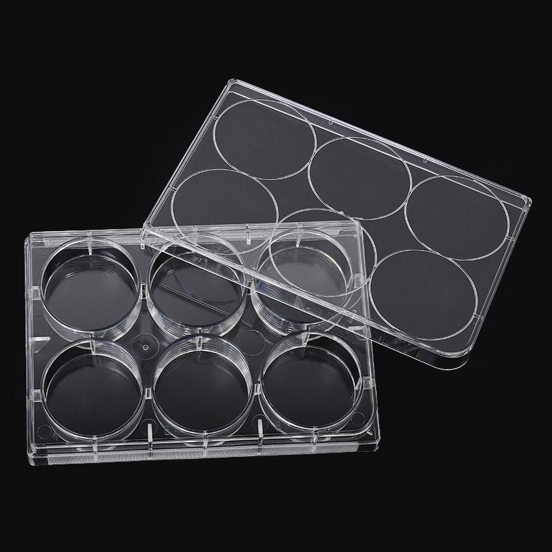 High Quality Wholesale Lab Instrument Plastic Transparent 6 Well Cell Plate