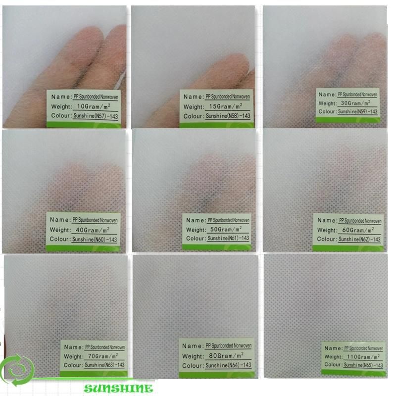 Disposable Nonwoven Bedsheet Roll Perforated Nonwoven Fabric for SPA