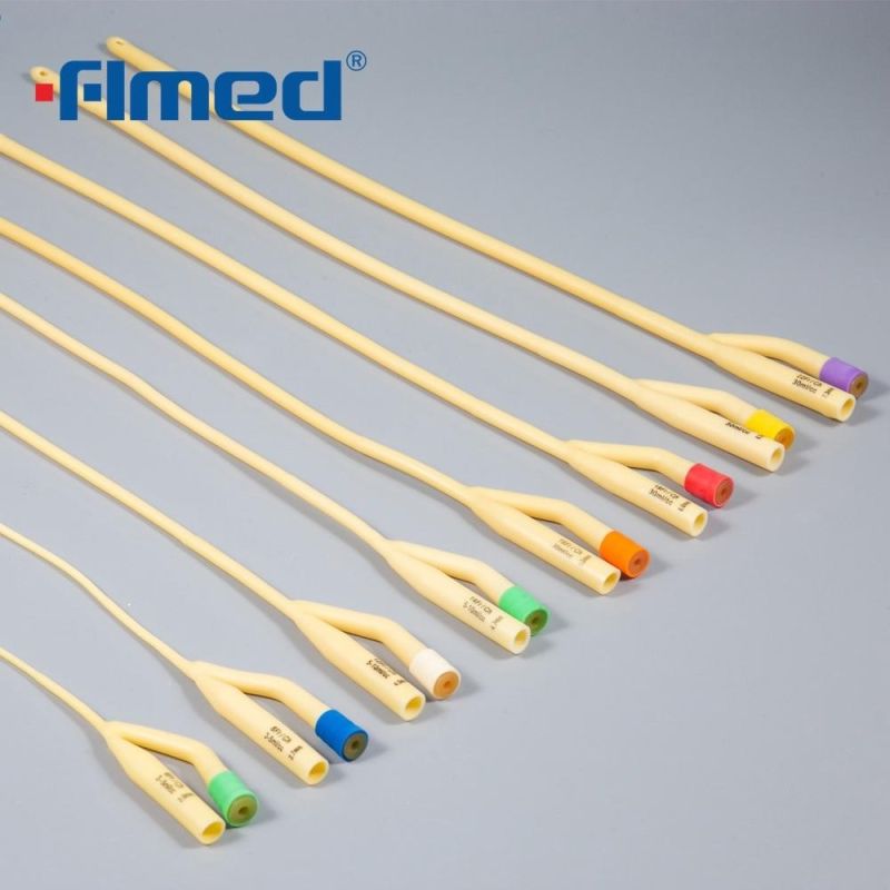 Two Way Different Sizes Silicone Balloon Urinary Foley Catheter