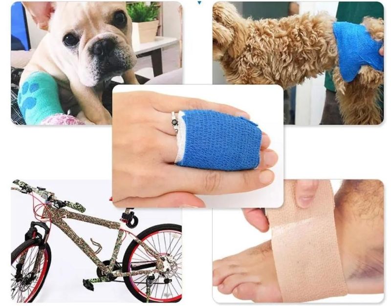 Disposable Bulk Wholesale Medical Supply Non Woven Cotton PBT Gauze Easy Tear Self Adhesive Vet Wrap Adhesive Elastic Cohesive Bandage