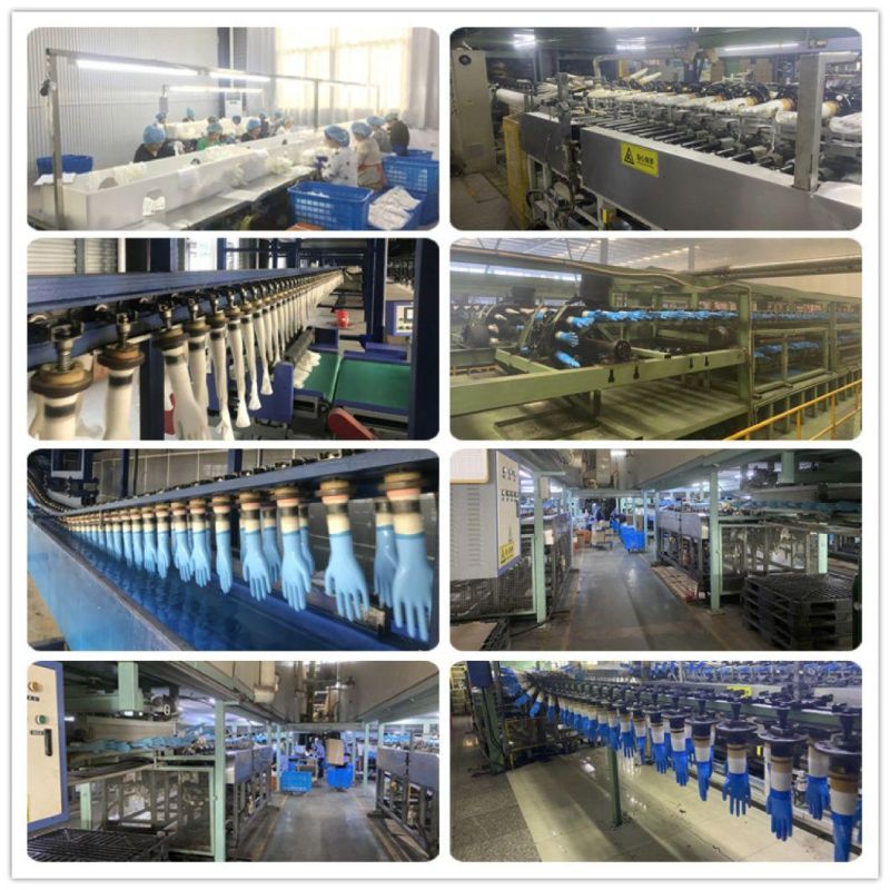 High Quality Disposable Nitrile Gloves Powder Free Examination Gloves