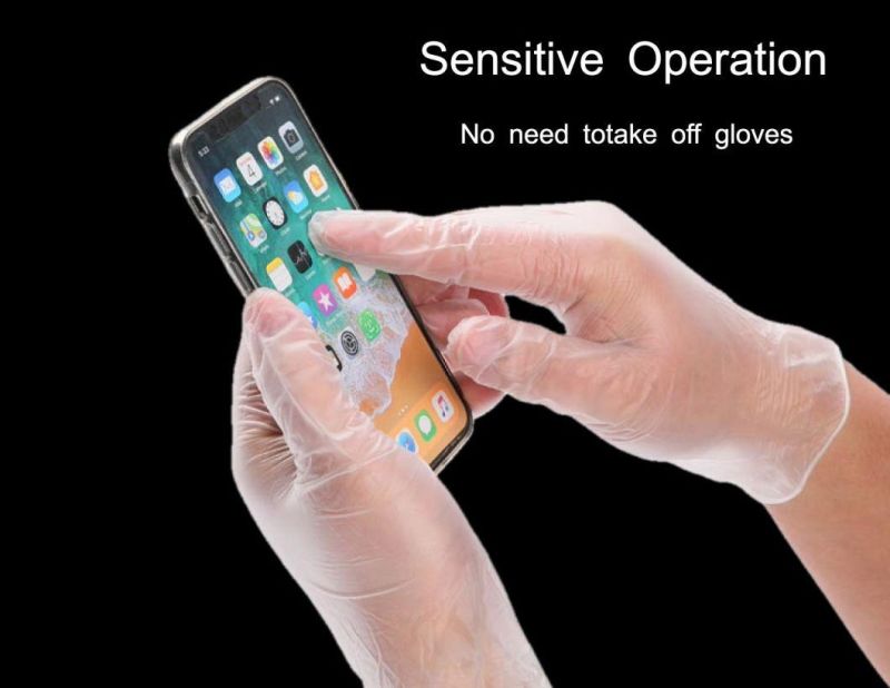 Food Grade FDA CE Powder Free Disposable PVC Gloves