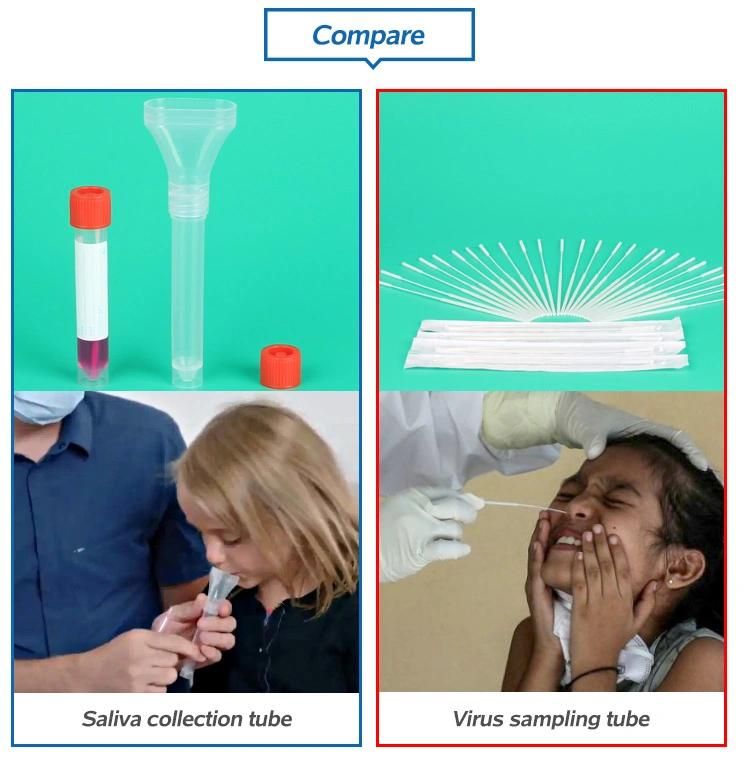 Disposable Sample Collection Kit Saliva Collector for DNA Test