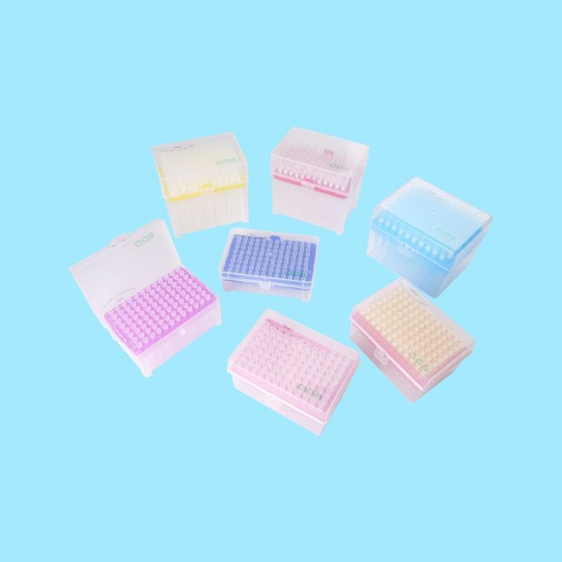 Medical Disposables Laboratory Test Kits 10UL 100UL 200UL 1000UL Pipette Filter Tips for PCR Nucleic Acid Testing