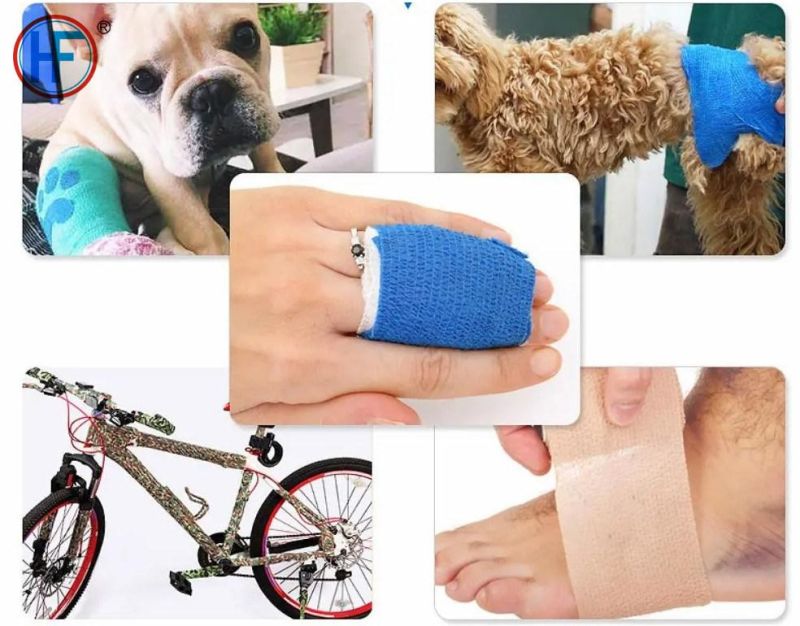 with International Certificates Non-Woven Cohesive Widely Pets Use Elastic Bandage