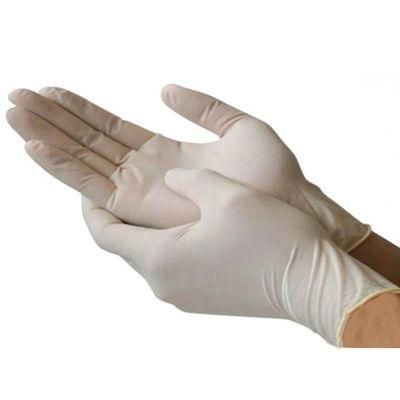 Ce High Quality Nitrile Gloves Powder Free Medical Gloves En455 SGS