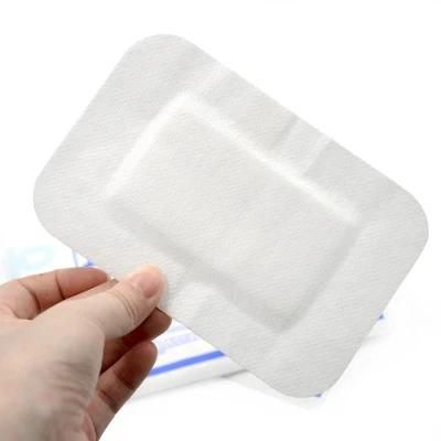Disposable Sterile Surgical Adhesive 10X10cm Non Woven Wound Care Dressing