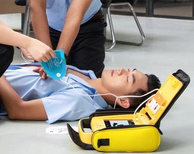 Educational Prepared Cardiopulmonary Resuscitation Model Person/CPR Model