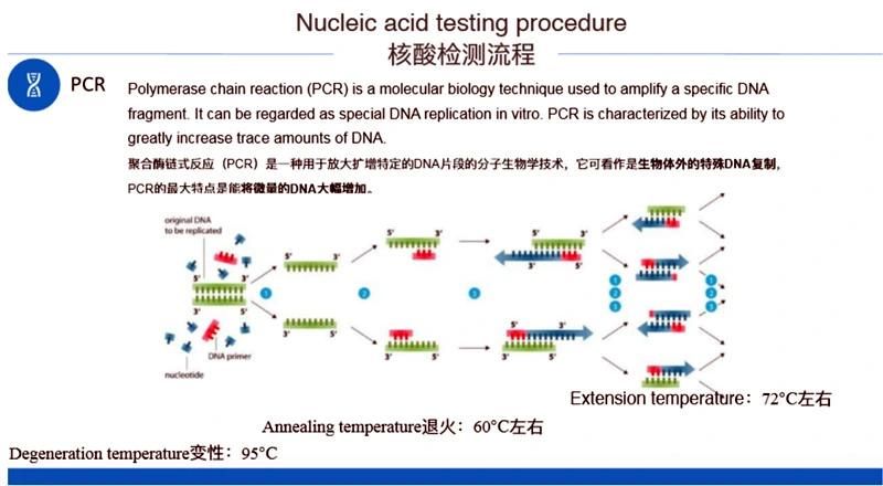 PCR Test Machine Real Time Rapid Real Time PCR Test Real Time PCR Instrument