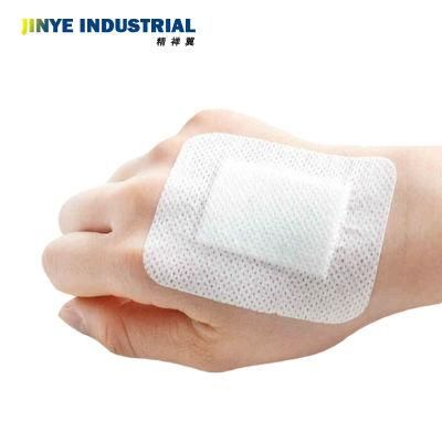 Disposable Sterile Surgical Adhesive 10X10cm Non Woven Wound Care Dressing