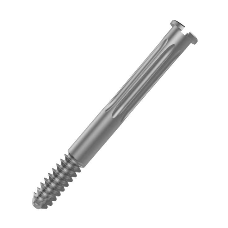 Canwell Lag Screw of Proximal Femur Nail, Lag Screw for Nails Pfn