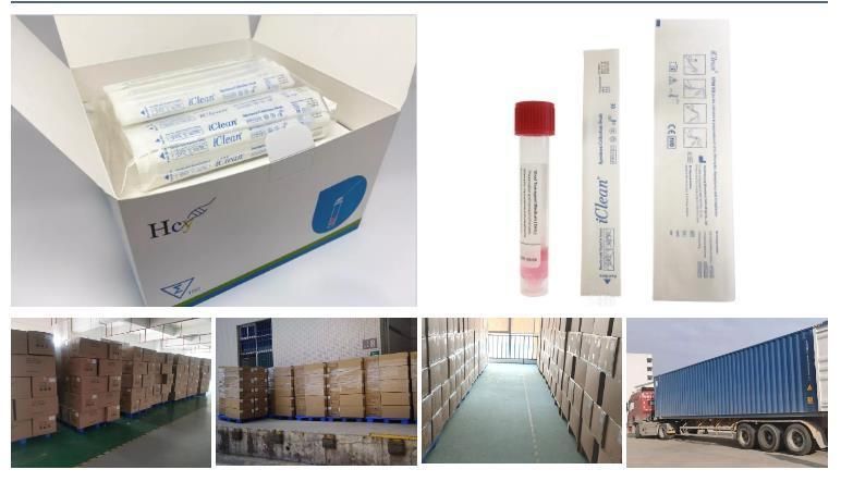 Sample Collection Tube with Vtm, Nasal Swab Oral Swab with Vtm Tube Vtm Sample Storage Tube with Swab