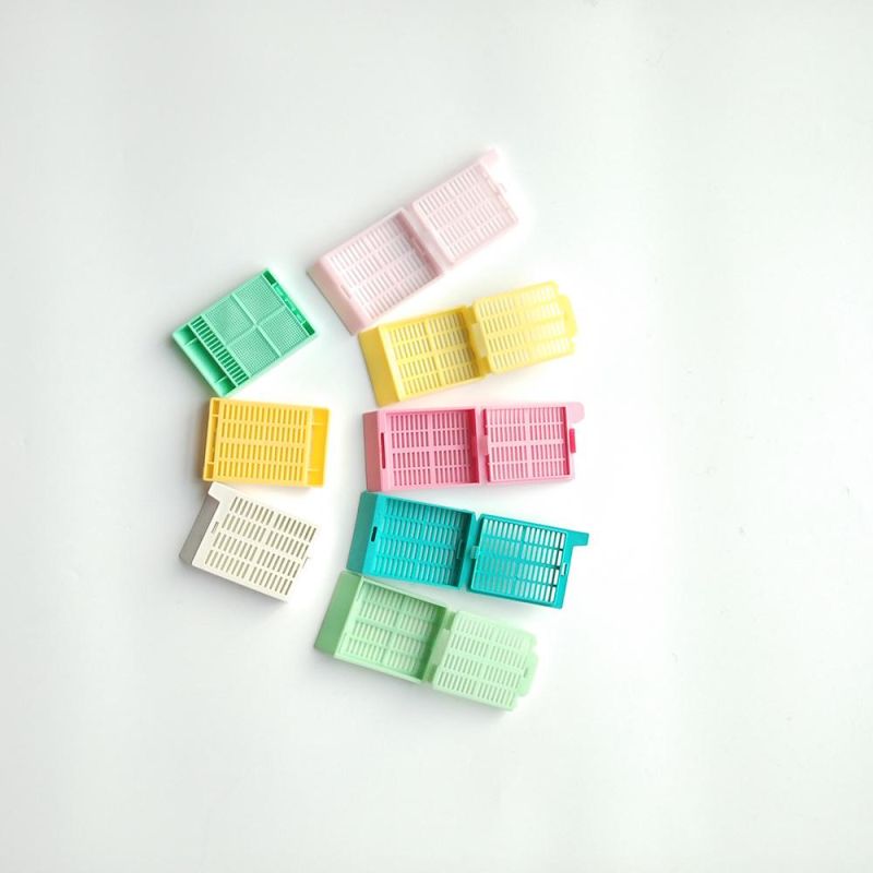 Tissue Processing Cassettes Embedding Cassette