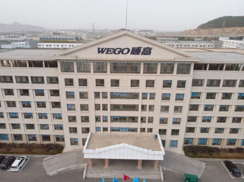 Wego Factory Price Multi Sizes Disposable Hypodermic Injection Syringe Needle Medical Needle