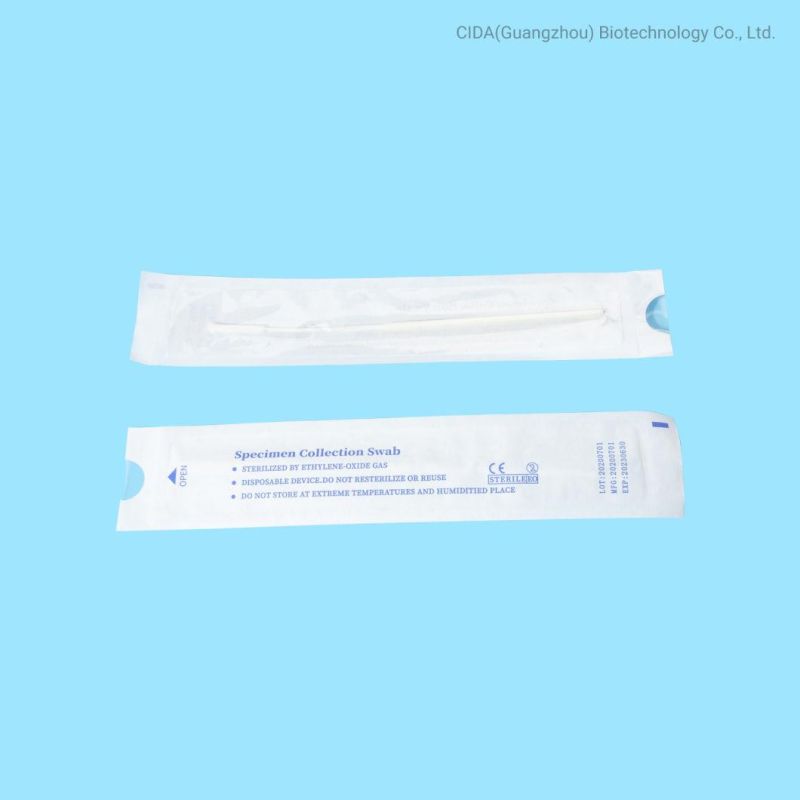 Medical Sterilized Nylon Flocking Collection Swab for Hospital Lab Sampling