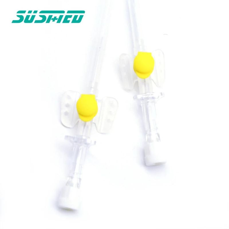 Medical Different Sizes and Color IV Cannula with Injection Port