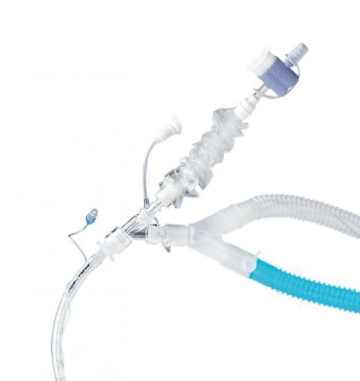 Medical Product Central Venous Catheter for Massive and Rapid Infusion