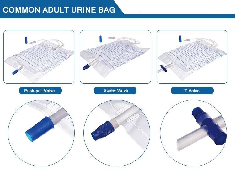 Disposable Medical Sterile Urine Drainage Bag with Push-Pull Valve Single Use