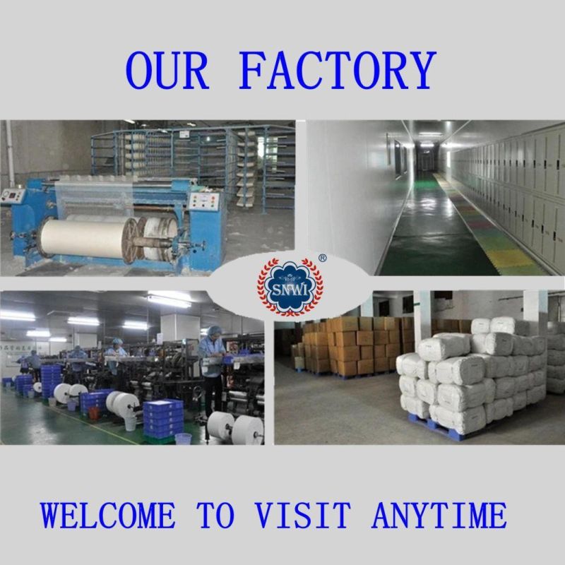 Single, Double, Triple, Quadruple Type Medical Disposable Plastic Blood Bags with Factory Price