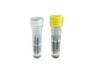 Nucleic Acid Extraction or Purification Reagent Virus Specimen Collection Kit