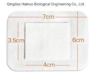 Factory Advantage Products OEM Brand Sterile Wound Dressing