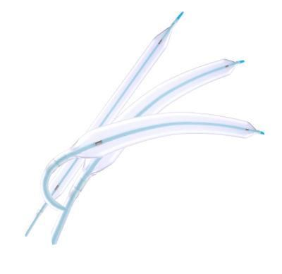 CE Approval Flexible Nc Ptca Balloon Catheter Dilatation Catheter Interventional Cardiology