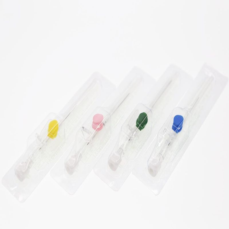 Sterilization Safety Purple IV Cannula with Wing Injection Port