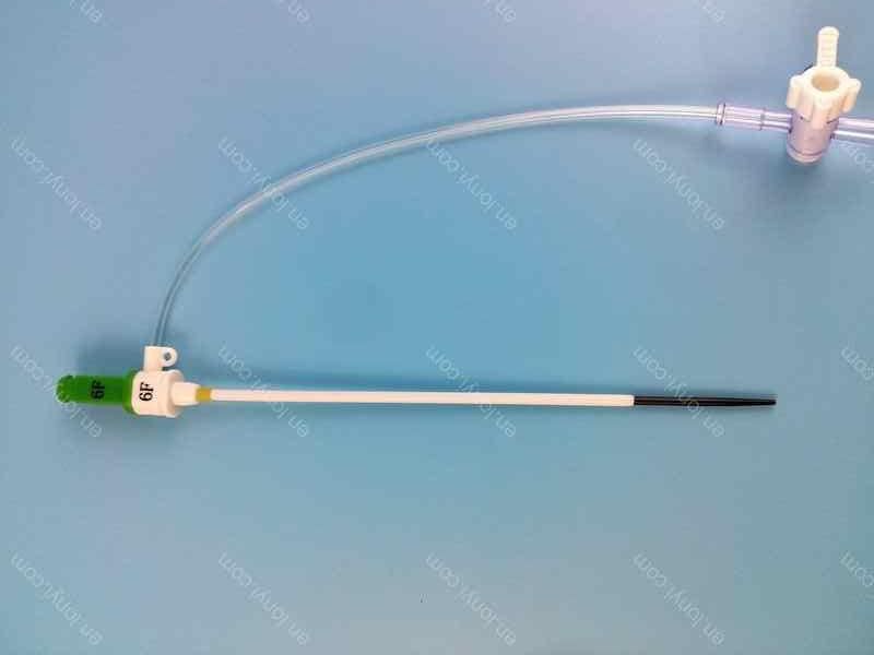 Competitive Price Interventional Cardiology Radial Introducer Sheath