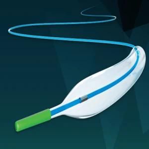 Barty Medical Ptca Catheter Best Quality Balloon Dilatation Catheter