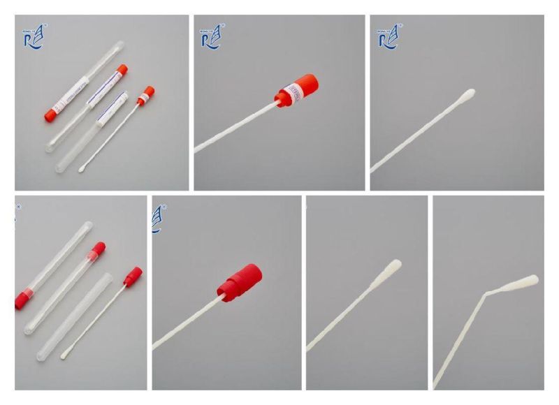 Sterile Flocked Oral Swab with Hard Tube/Specimen Transport Oral Swab with Tube