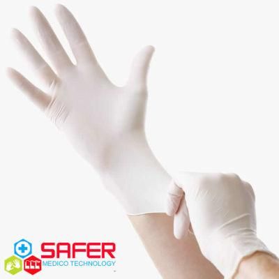 Disposable Latex Glove 5g with Powder Free From Malaysia Manufacturer Good Quality