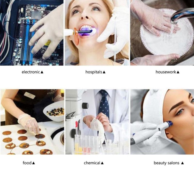Disposable Powder Free Vinyl Gloves PVC Gloves with FDA 510K