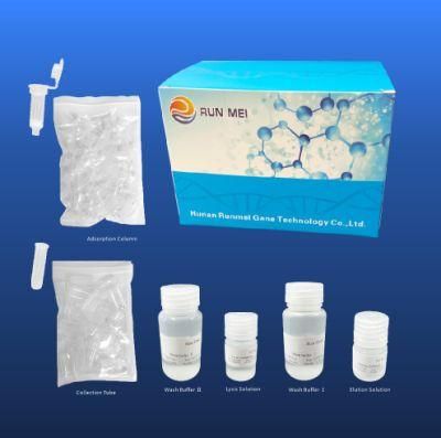 (DNA-free) Rna Extraction Test Kits Manufacturer Production