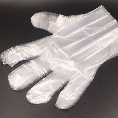 Disposable PE Household Food Grade Processing Industry Eco-Friendly Gloves