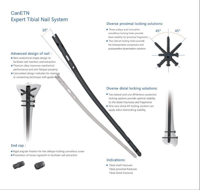 Expert Tibia Intramedullary Nail Titanium Surgical Implant Nail