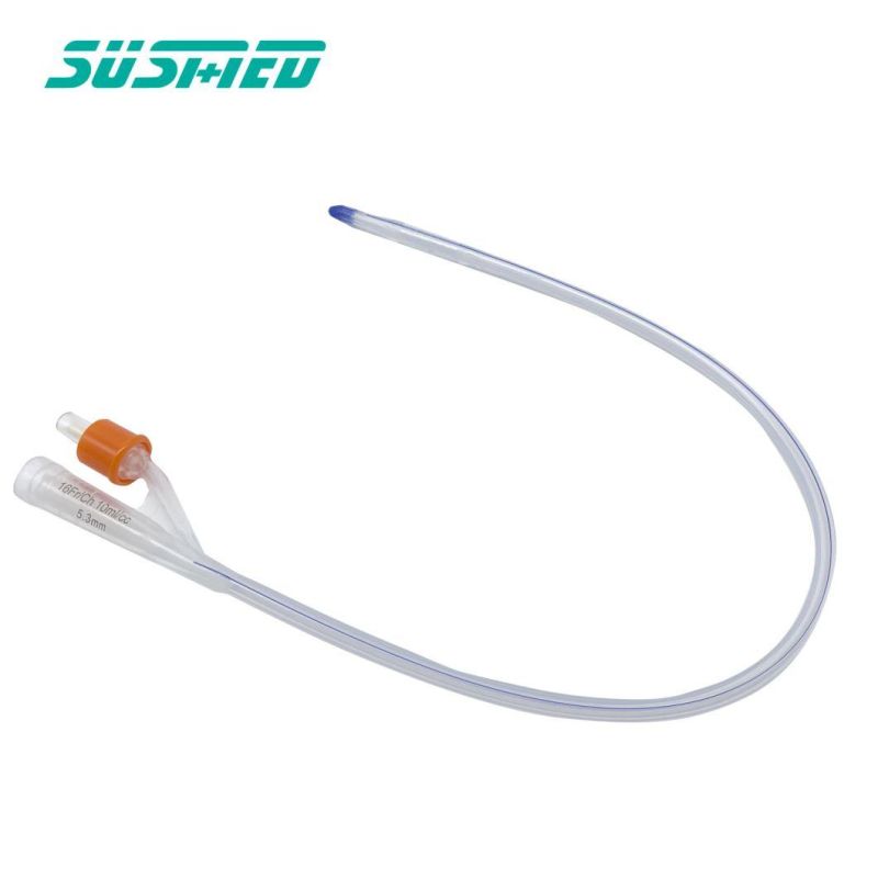 Disposable 100% Medical Silicone 2/3 Way Foley Catheter with CE Approved