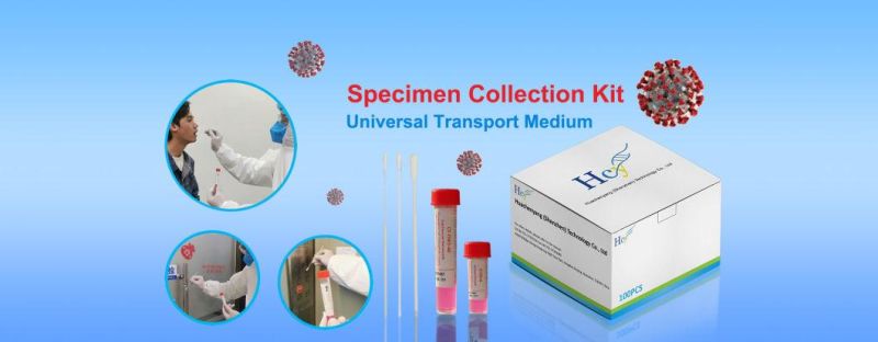 Medical Disposable Virus Sampling Tube Vtm Swabs Kits