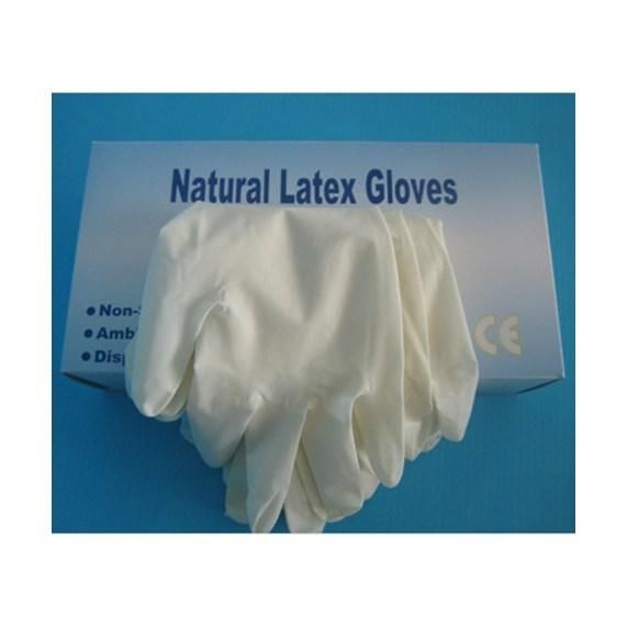 Disposable Medical Latex Examination Gloves Power Free
