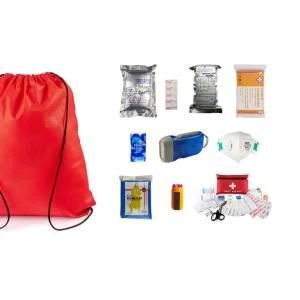 ILANDRESCUE Basic First Aid Kit &amp; Added Mini Kit for Trucks, Car, Camping and Outdoor Preparedness
