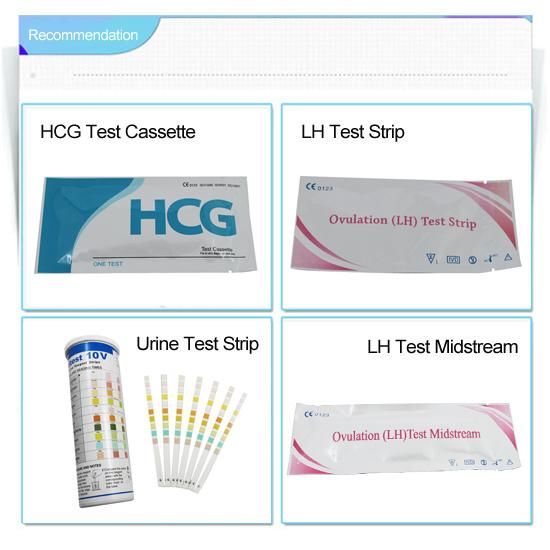 Pregnancy Test Strip HCG/Urine Test Stripe