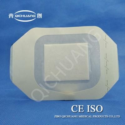 Medical Transparent Wound Dressing with Absorbent Pad